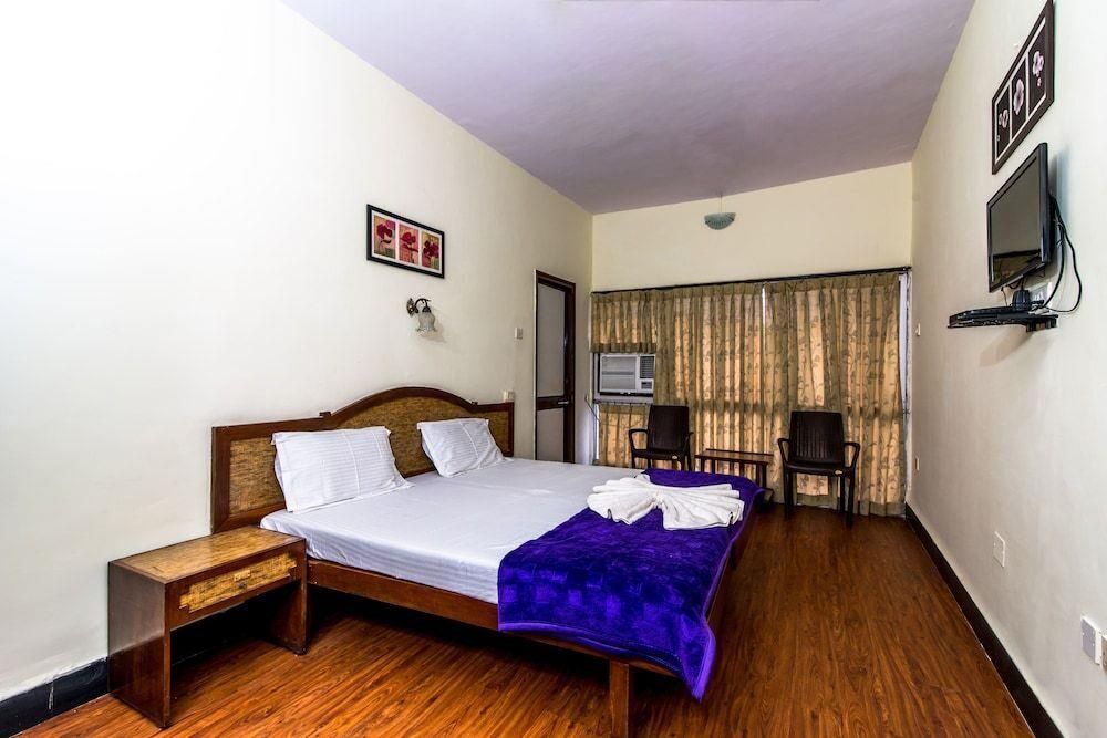 OLIVE CALANGUTE MIIRA - 3