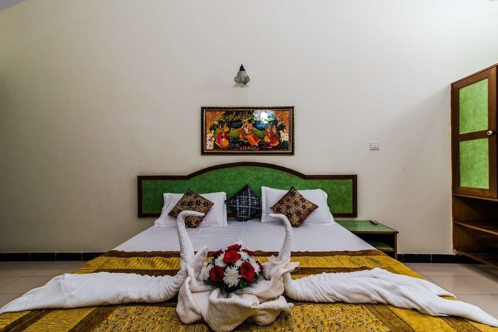 OLIVE CALANGUTE MIIRA - 6