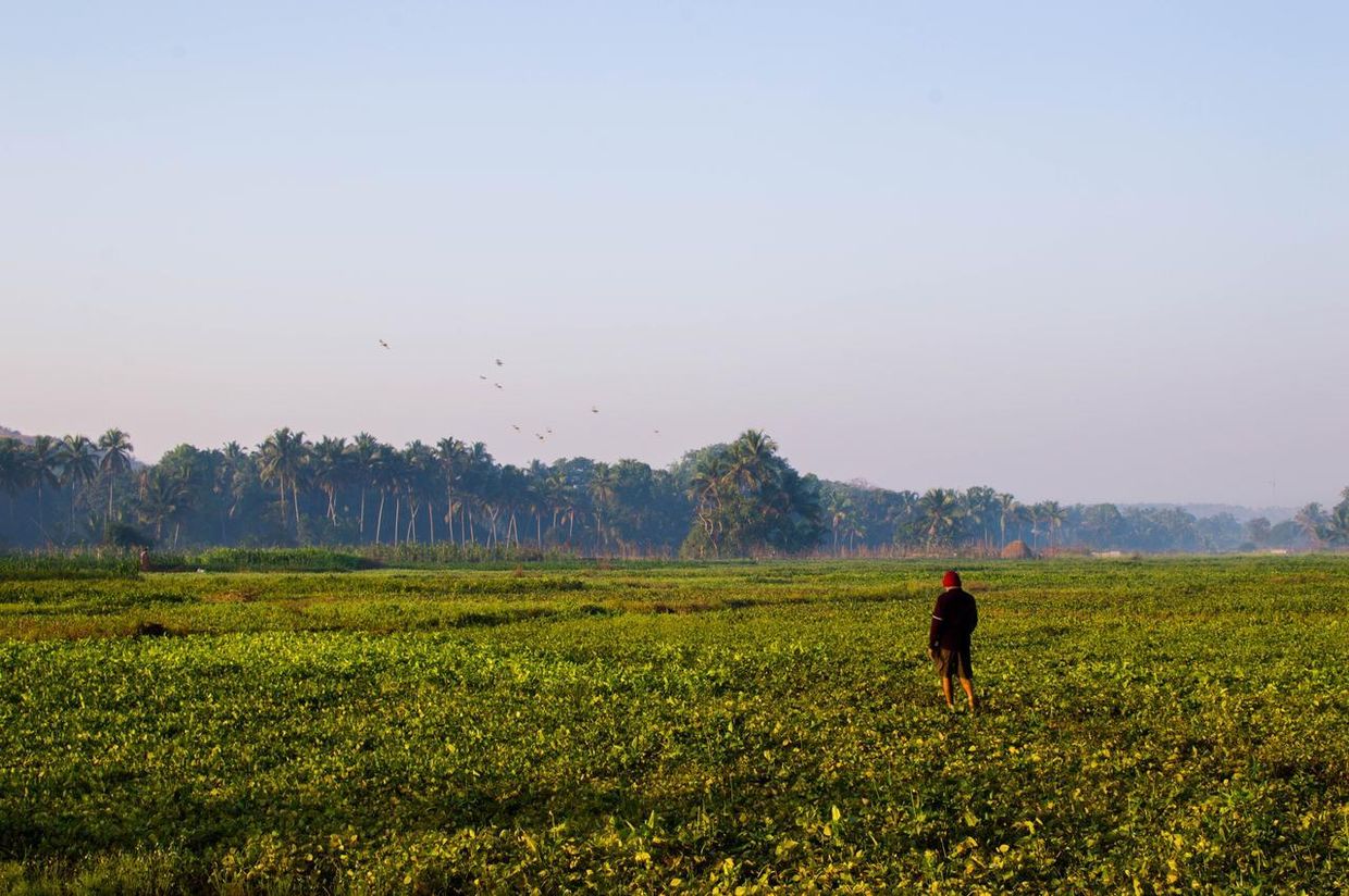 SHIVAM BNB MANDREM - 3