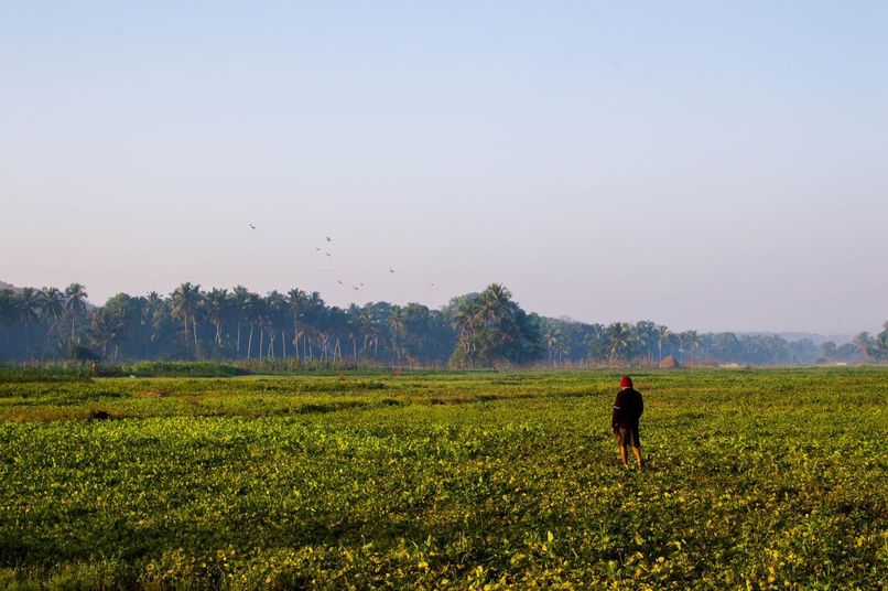 SHIVAM BNB MANDREM - 3