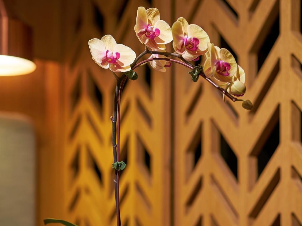 OASIA HOTEL DOWNTOWN - 11