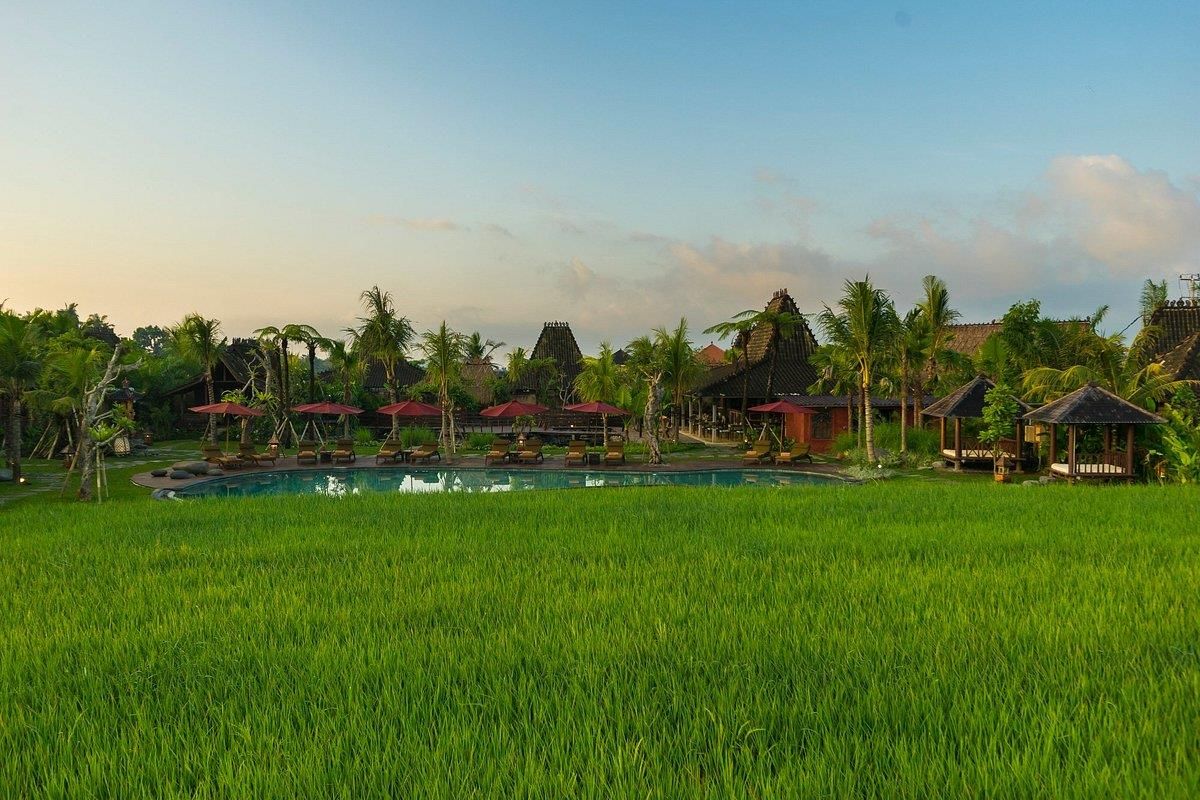 ARYA VILLAS UBUD (ex. ADIWANA ARYA VILLAS) - 19