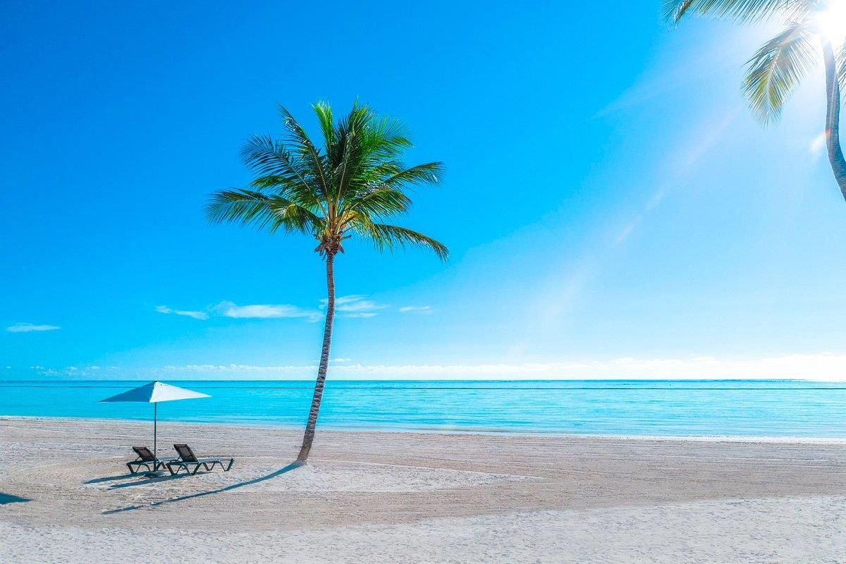 HYATT ZILARA CAP CANA (only adults 18+)  - 41