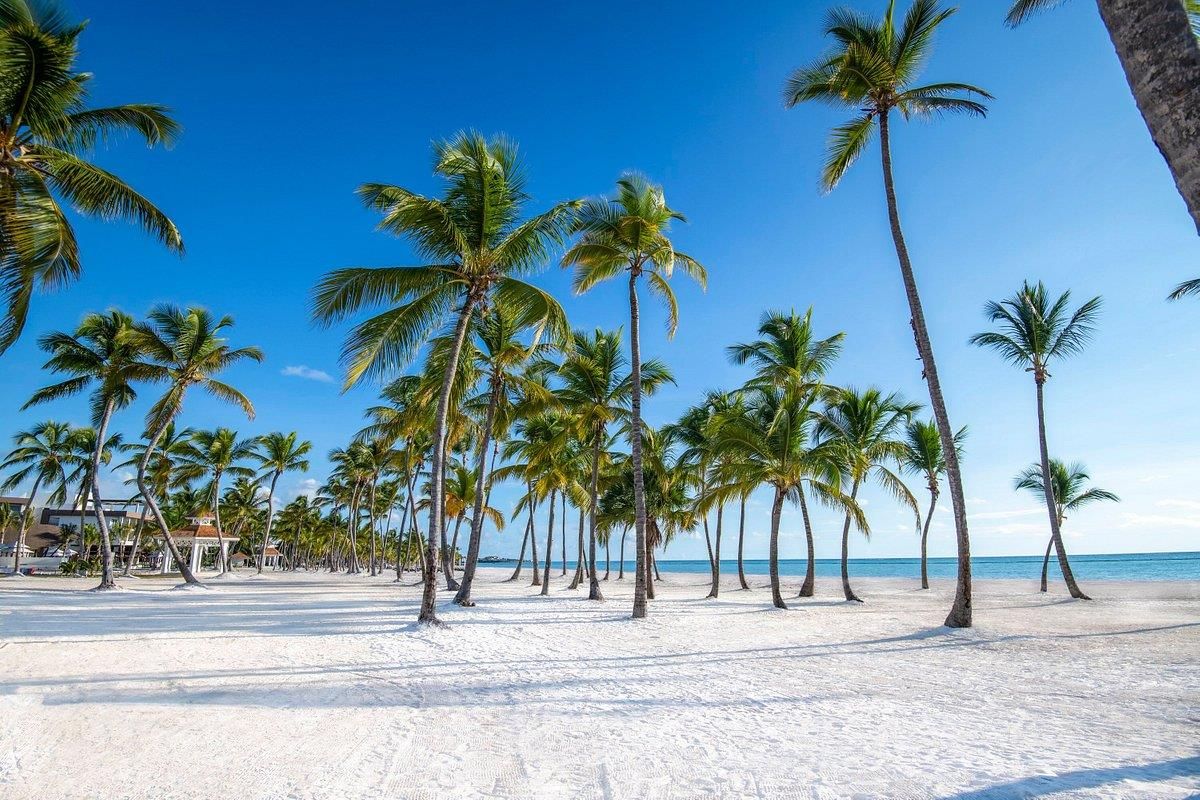 HYATT ZILARA CAP CANA (only adults 18+)  - 42