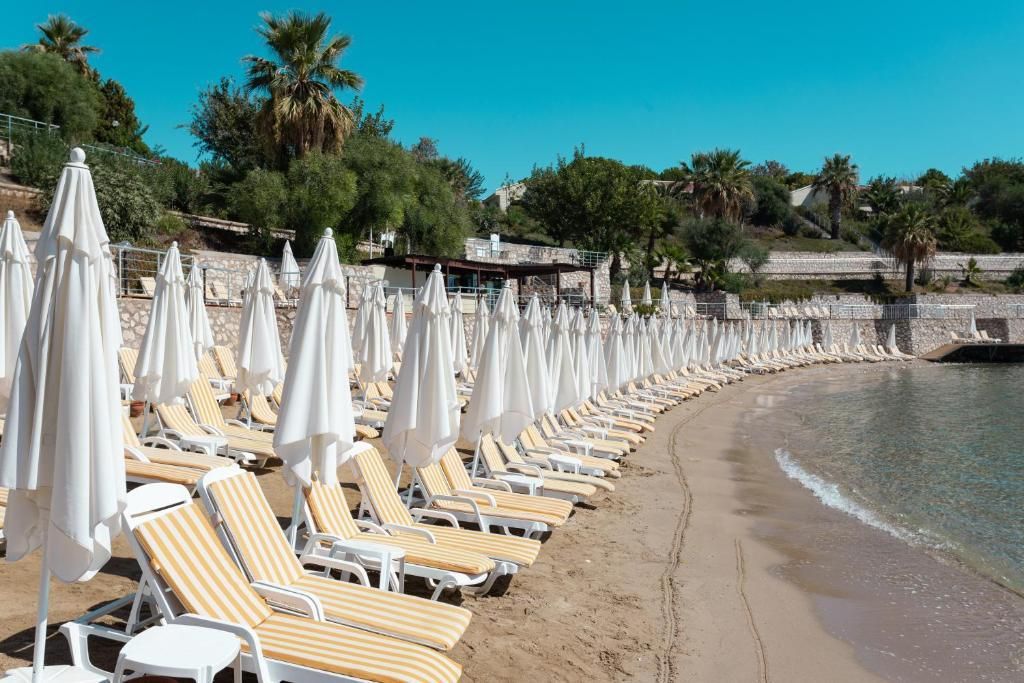 Anadolu Hotels Didim Club (ex. Palm Wings Didim Beach Resort) - 33