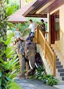 MASON ELEPHANT PARK & LODGE - 2