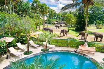 MASON ELEPHANT PARK & LODGE - 5