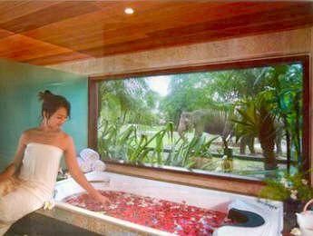 MASON ELEPHANT PARK & LODGE - 8