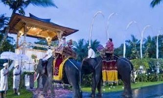 MASON ELEPHANT PARK & LODGE - 10