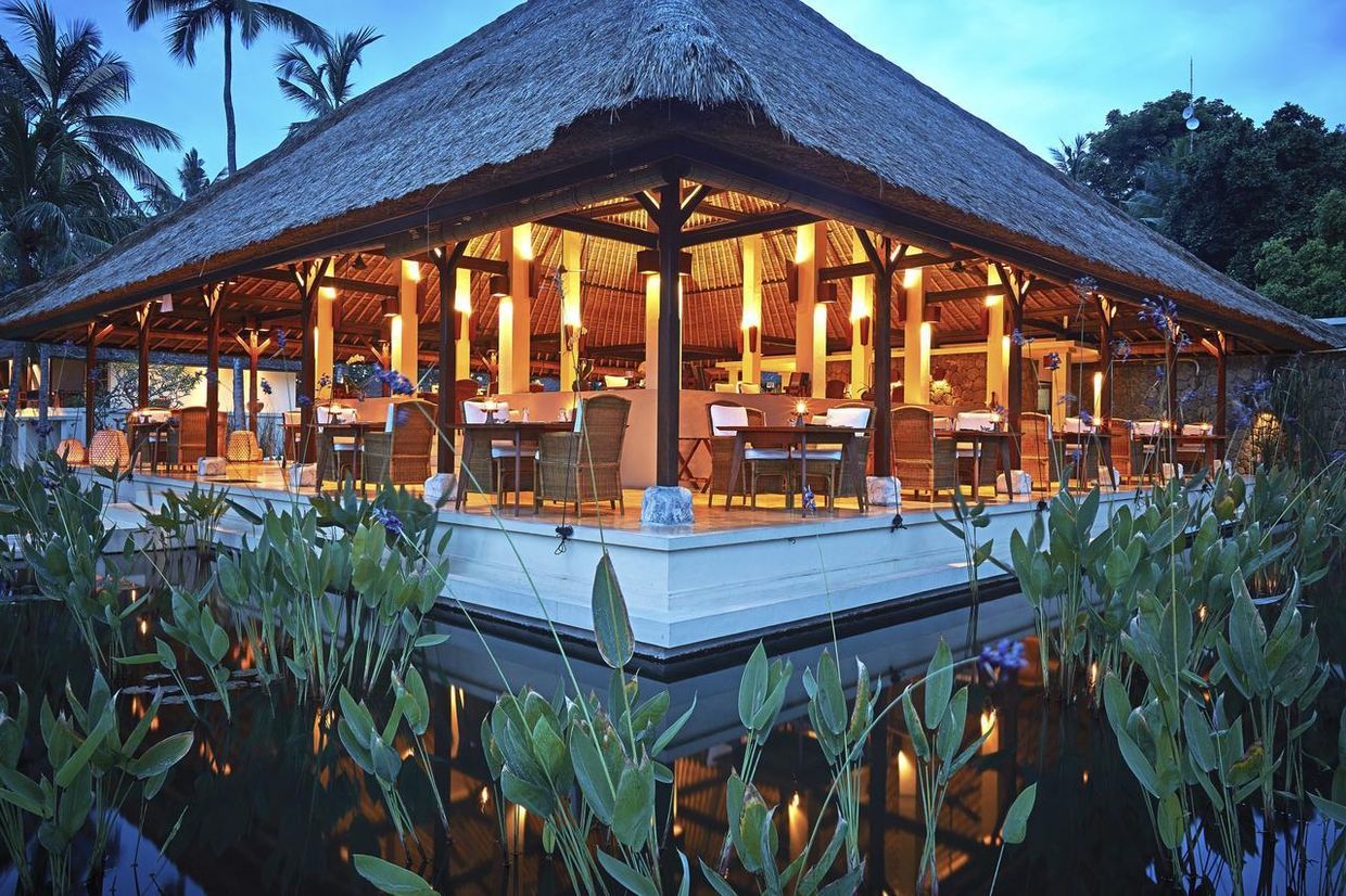 ALILA MANGGIS - 9