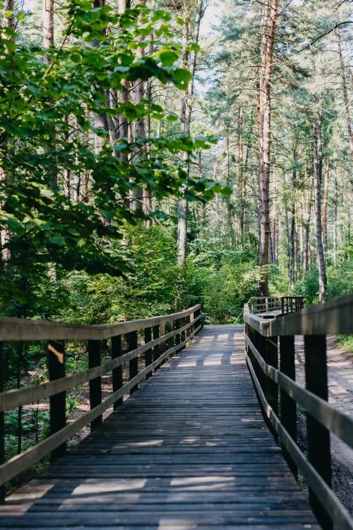 PINE RIVER, загородный отель - 12