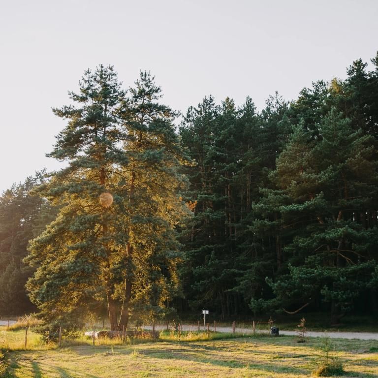 PINE RIVER, загородный отель - 13