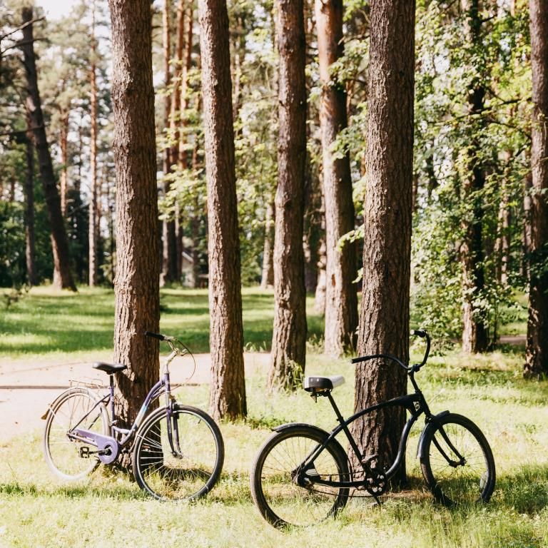 PINE RIVER, загородный отель - 20