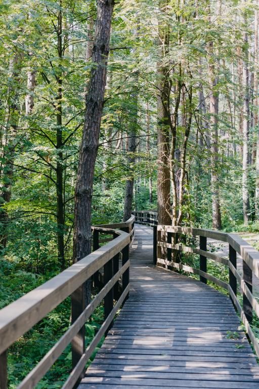 PINE RIVER, загородный отель - 7