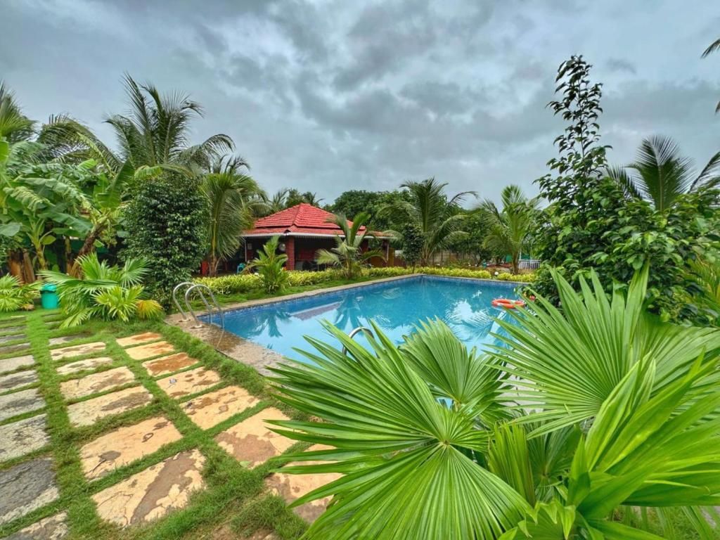 WHITE TRUFFLE RESORT - 11