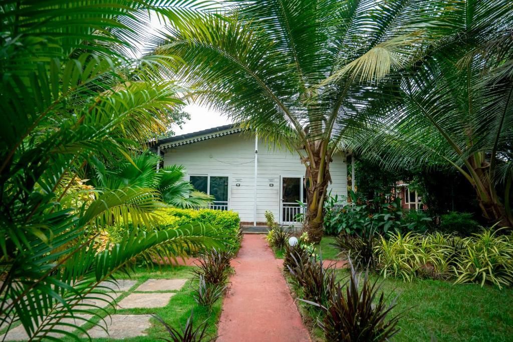 WHITE TRUFFLE RESORT - 7