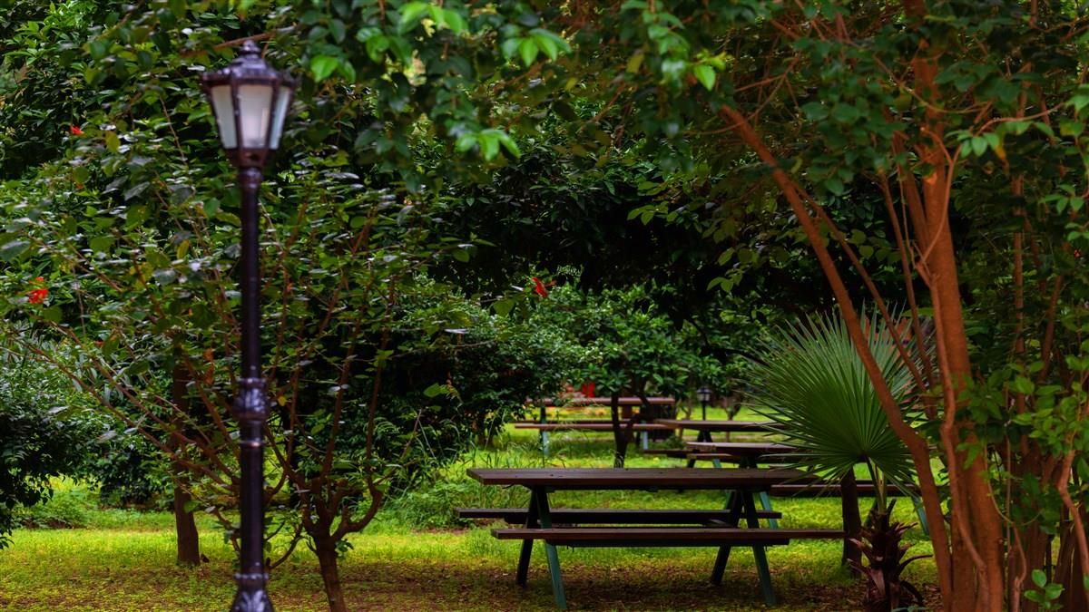 Pirates Park Resort - 23