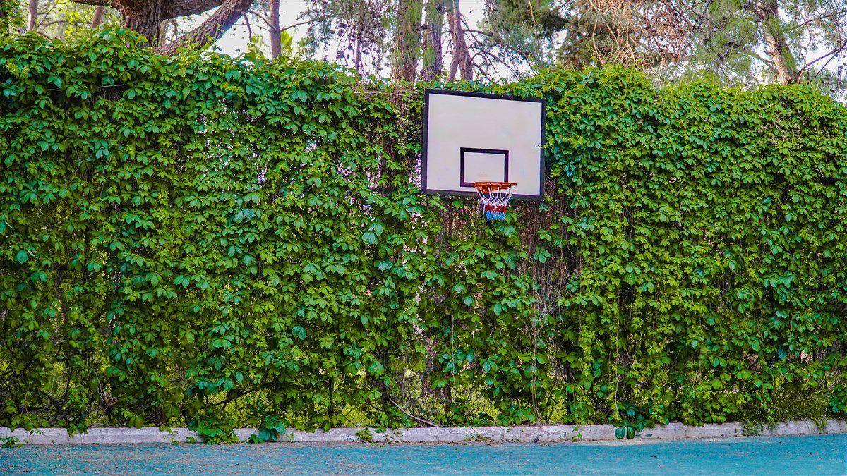 Pirates Park Resort - 41