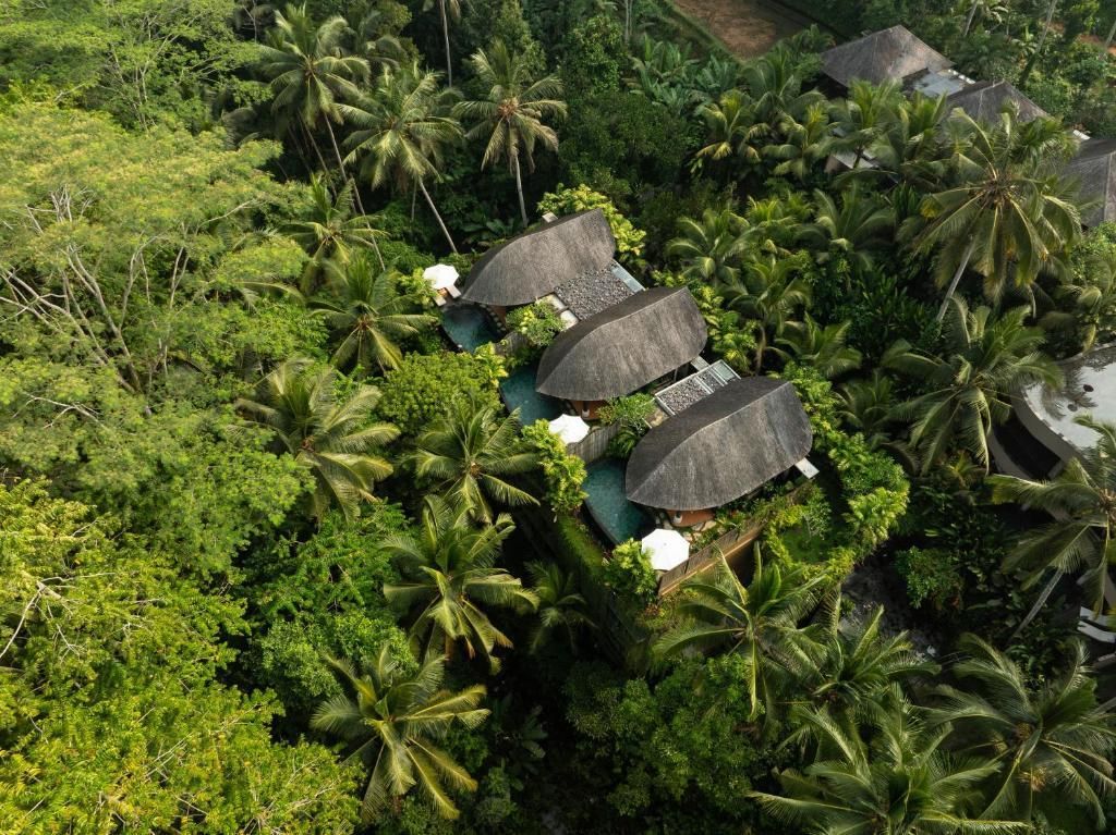 ABISENA UBUD - 18