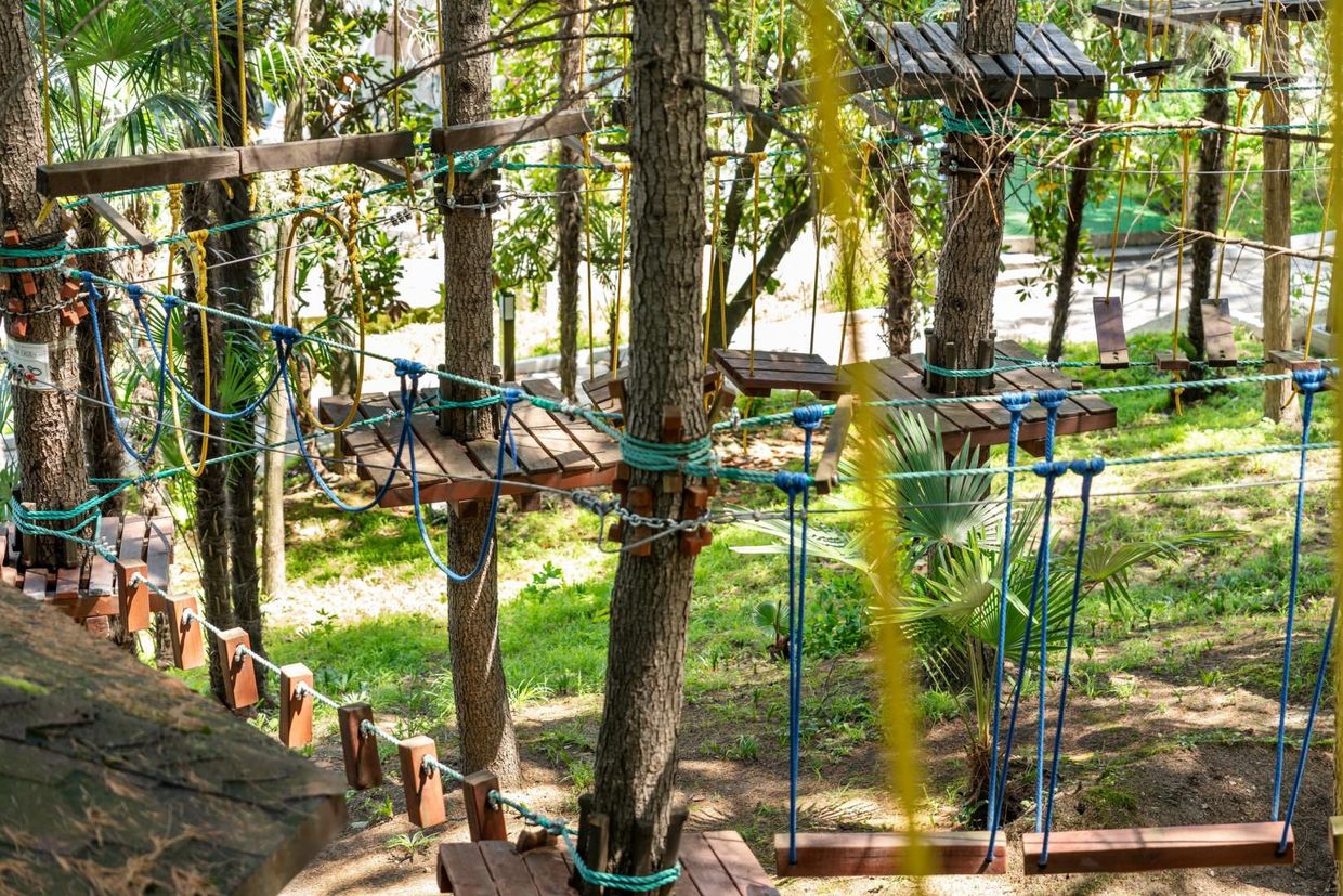 СОКОЛ, пансионат - 17