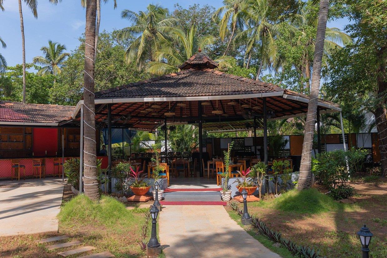 RICHMONDE ANANTA ELITE  - 49