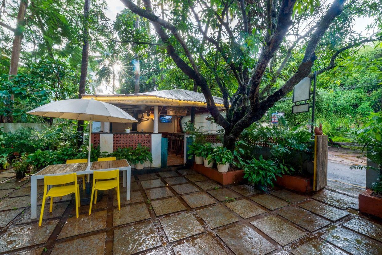 OLIVE CALANGUTE NIWASA - 22