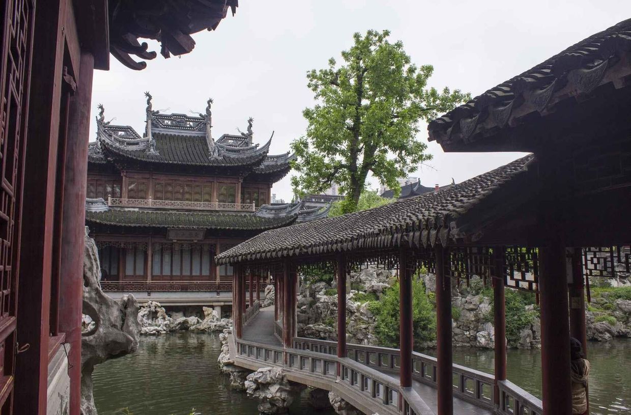 Шанхай-Чжанцзяцзе (горы Аватара)-Пекин (8д/7н) - 7