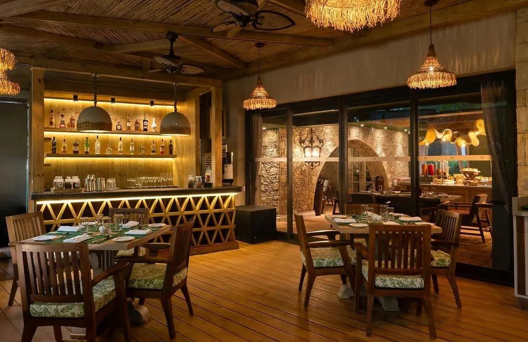 THE EVREN VAGATOR - 20