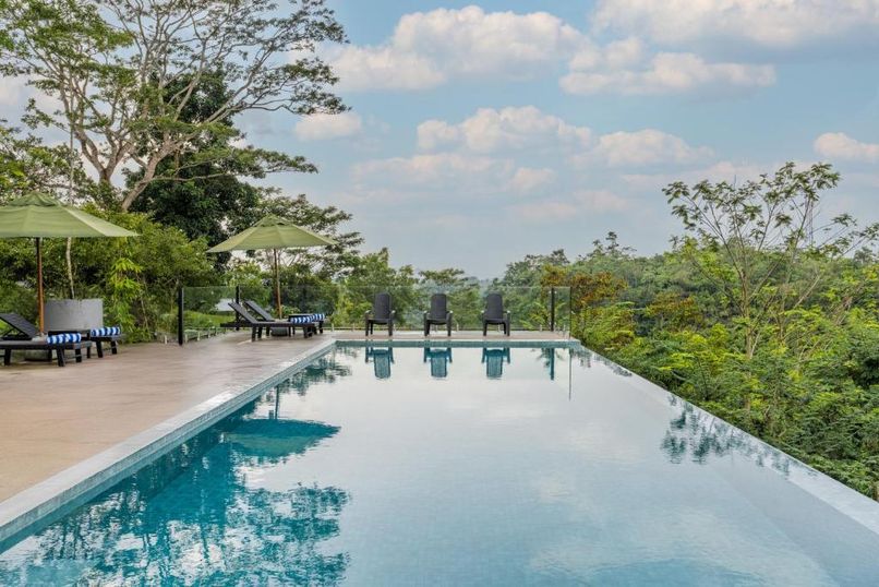 LIGNESS GREEN ODYSSEY - 5