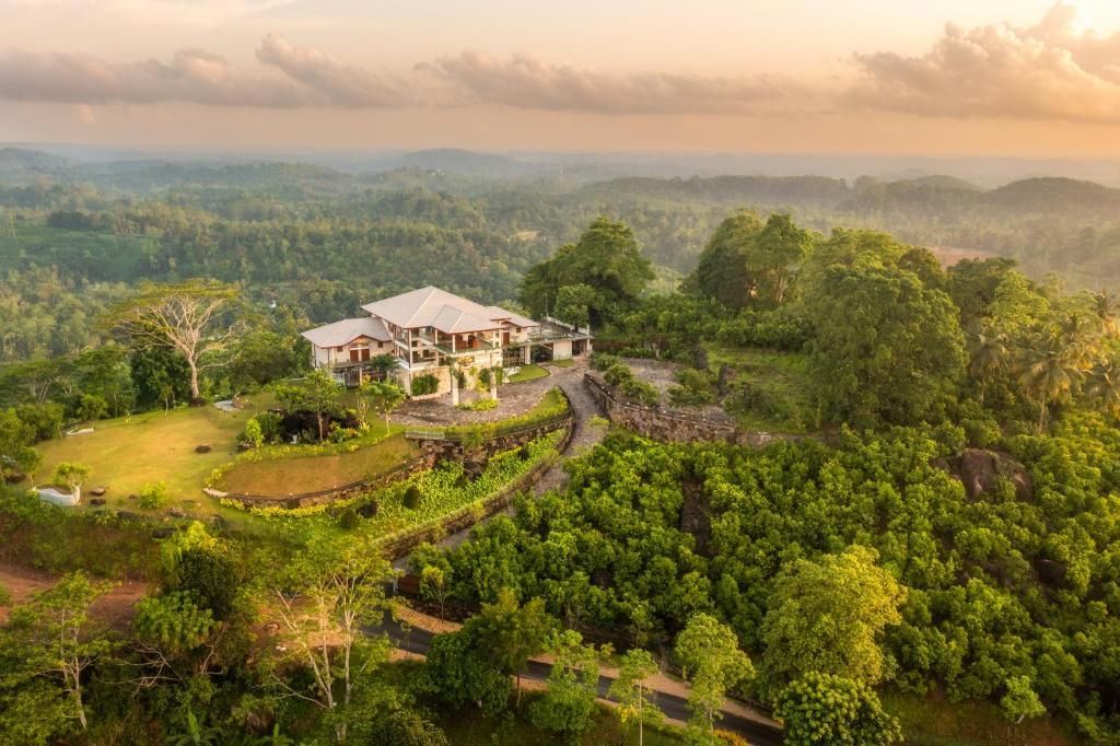 LIGNESS GREEN ODYSSEY - 8