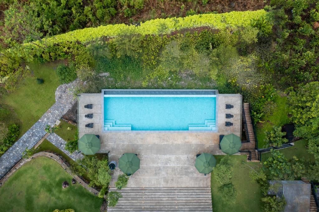 LIGNESS GREEN ODYSSEY - 10