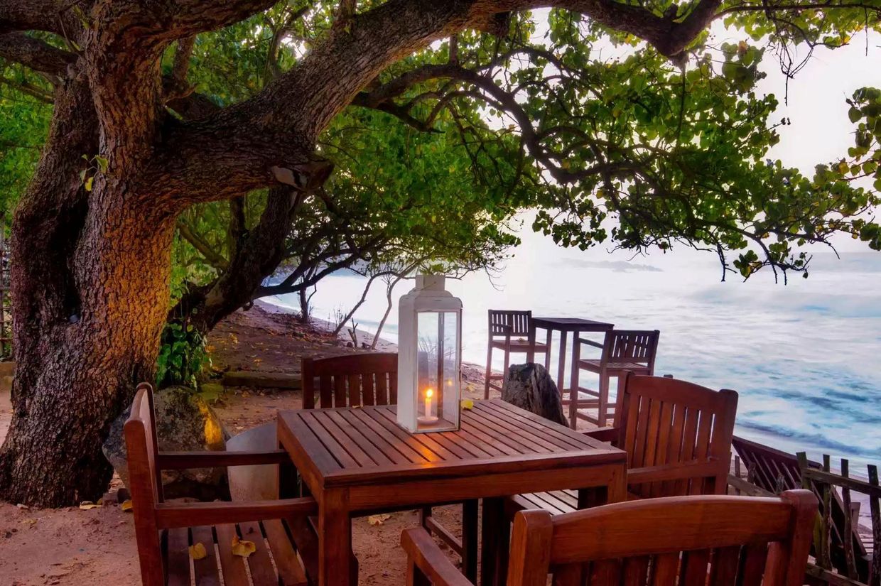 OCEAN GATEWAY DICKWELLA - 17