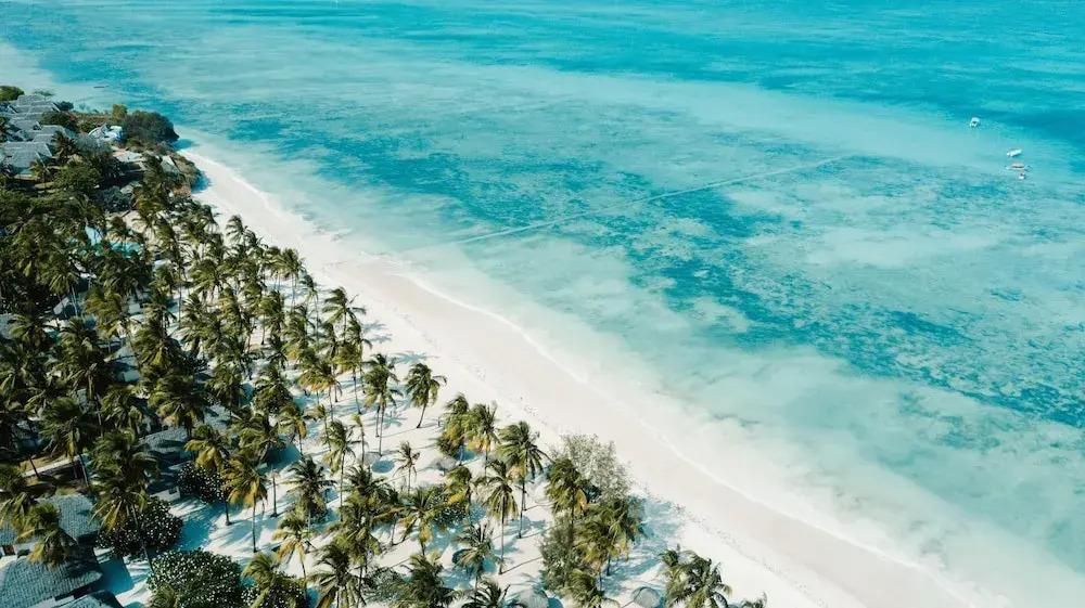 JAZ ELITE AURORA - 17