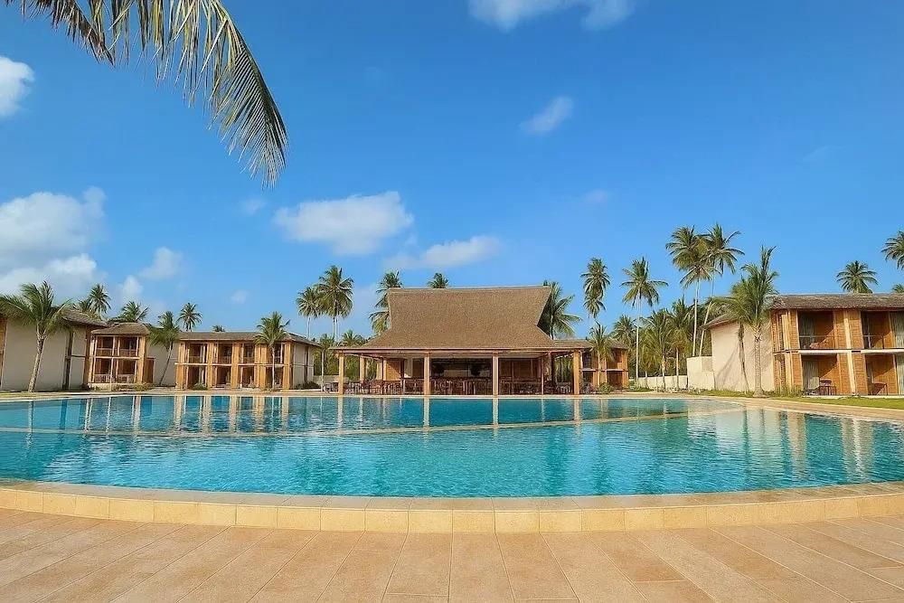 JAZ ELITE AURORA - 10