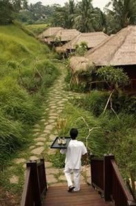KAYUMANIS UBUD PRIVATE VILLA & SPA - 3