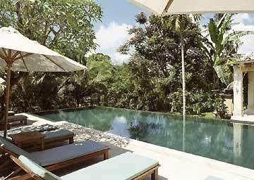 KOMANEKA AT MONKEY FOREST - 7