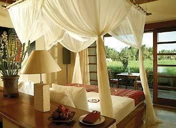 KOMANEKA AT MONKEY FOREST - 10