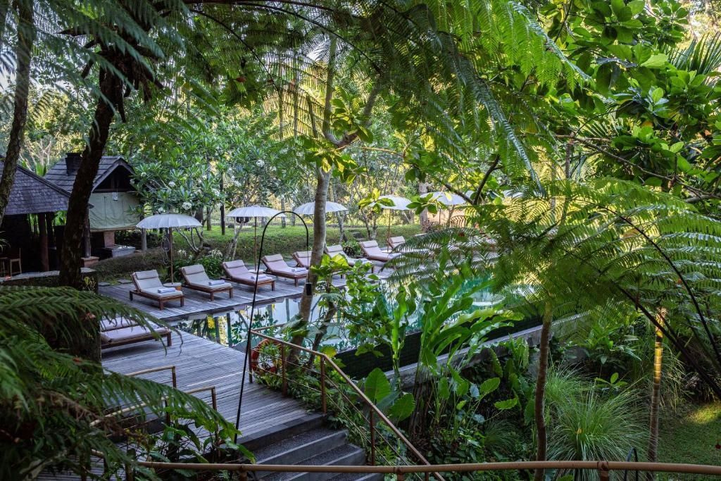 KOMANEKA AT BISMA - 23