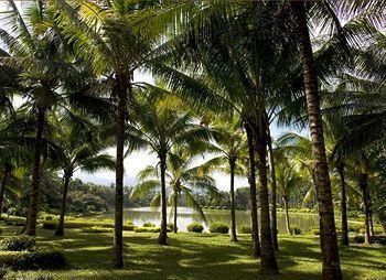 LE MERIDIEN SHIMEI BAY BEACH RESORT&SPA - 41