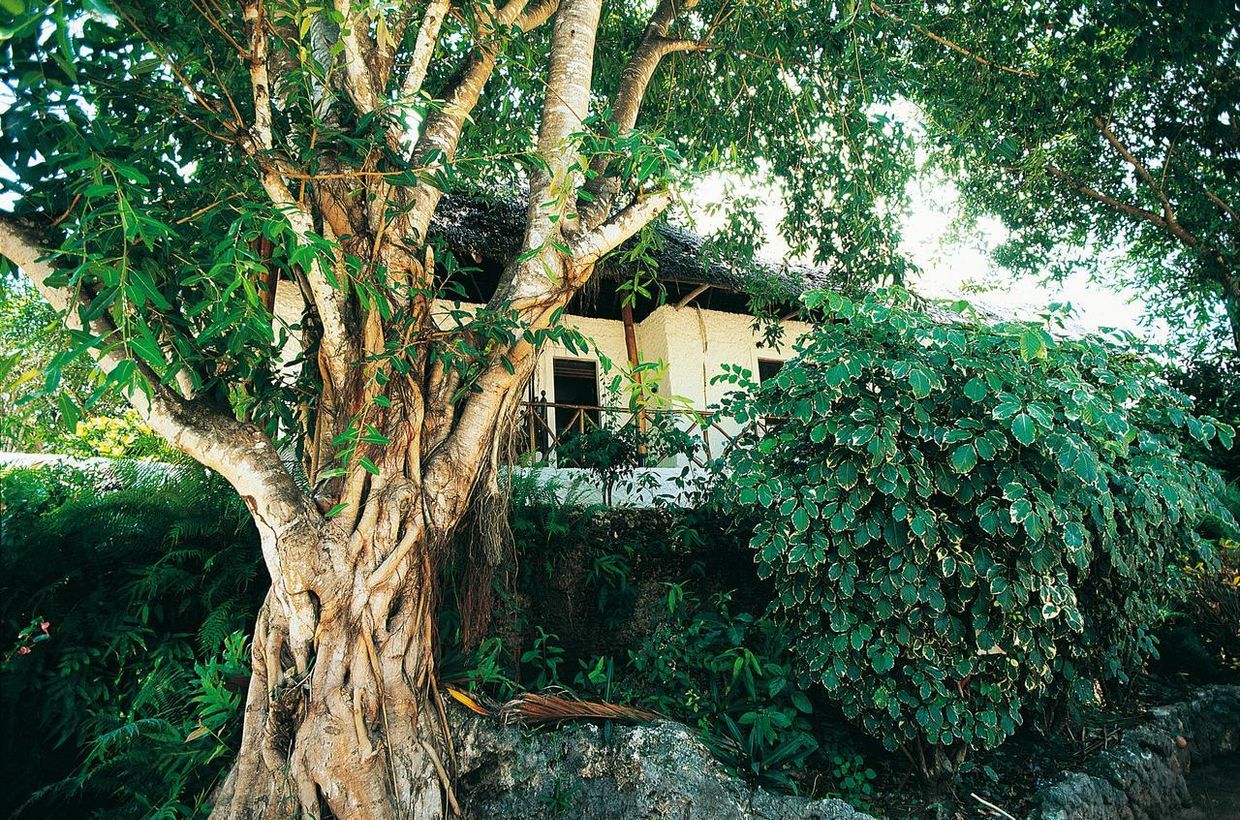 DIAMONDS MAPENZI BEACH - 20