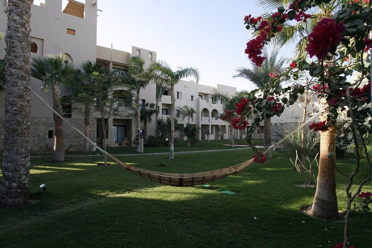 MARINA LODGE PORT GHALIB - 10