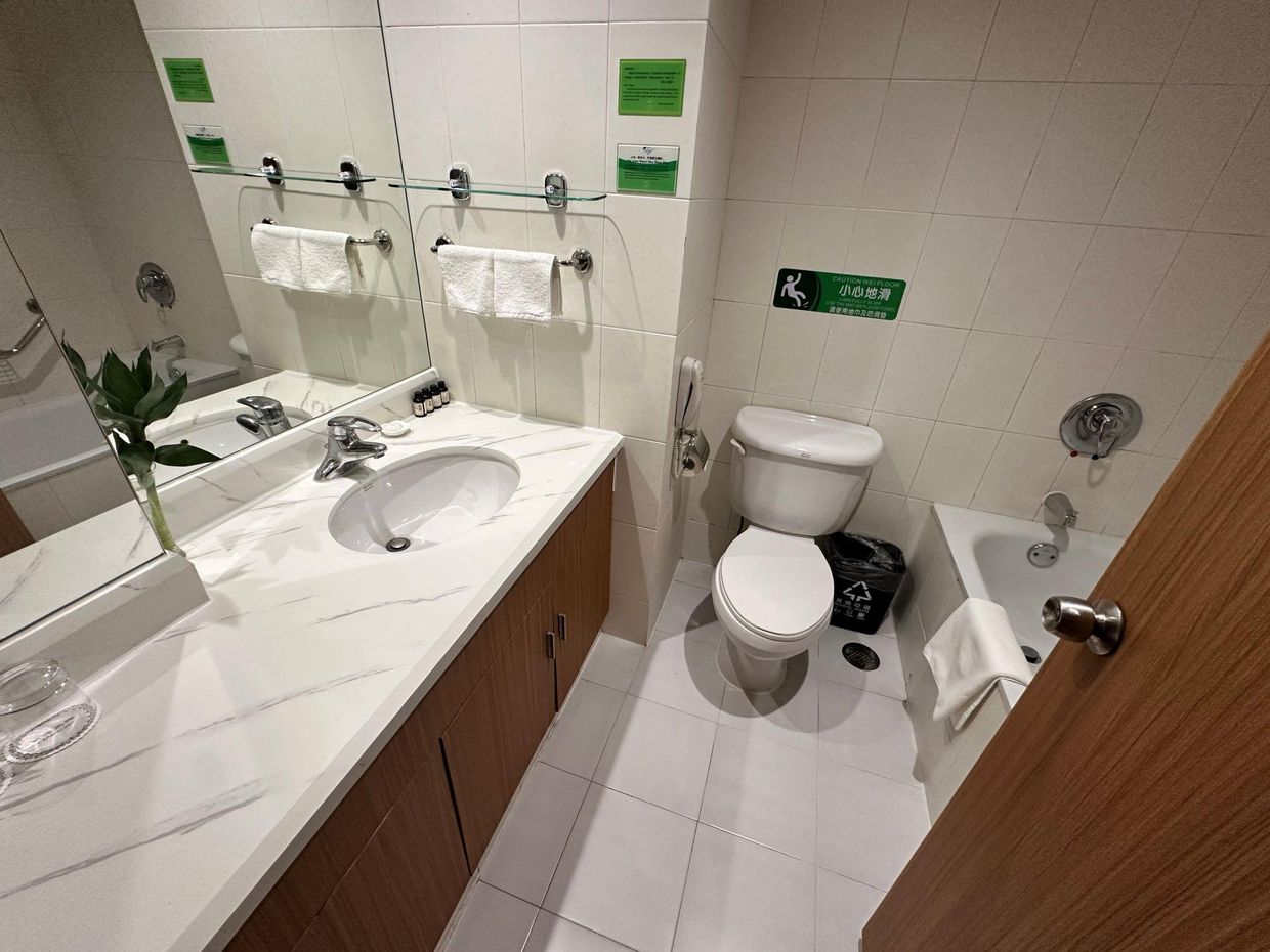 THE NORTH GARDEN  - 19