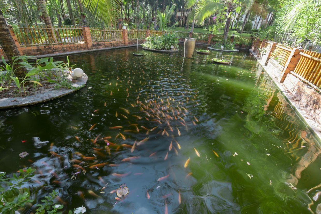 SEALION BEACH RESORT & SPA - 6