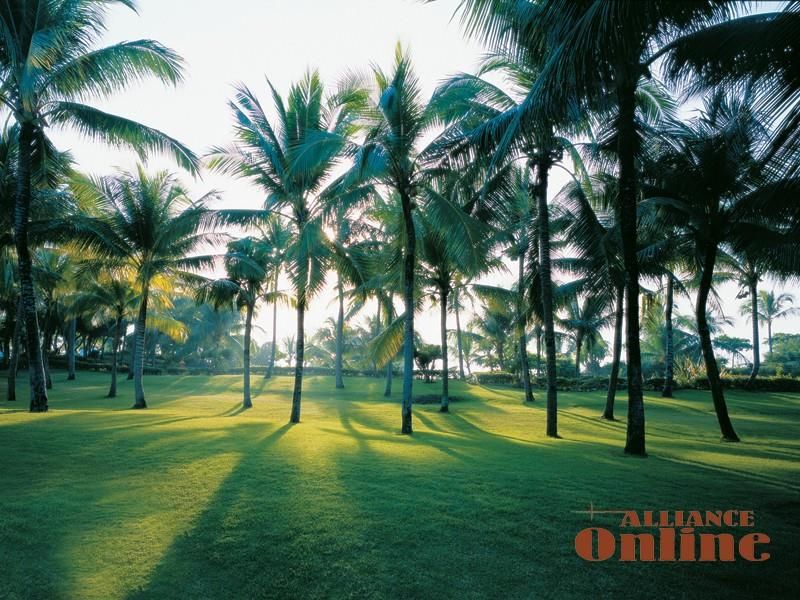 SHANGRI-LA`S MACTAN RESORT & SPA - 42