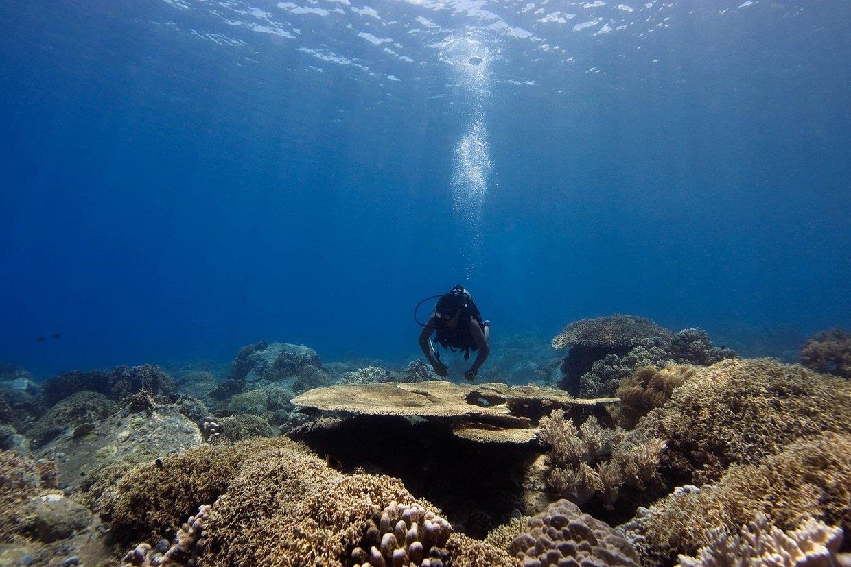 SIX SENSES NINH VAN BAY - 15