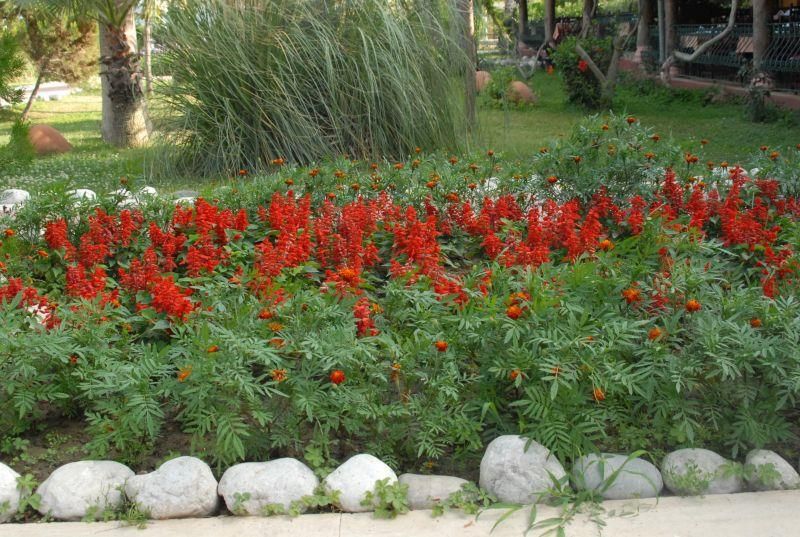 Sun Shine Mir Hotel - 2