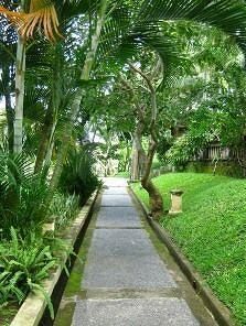 THE UBUD VILLAGE AT NYUH KUNING - 15