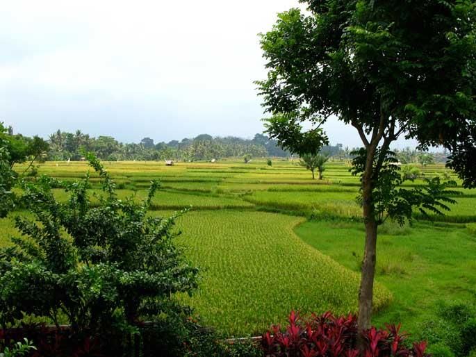 THE UBUD VILLAGE AT NYUH KUNING - 24