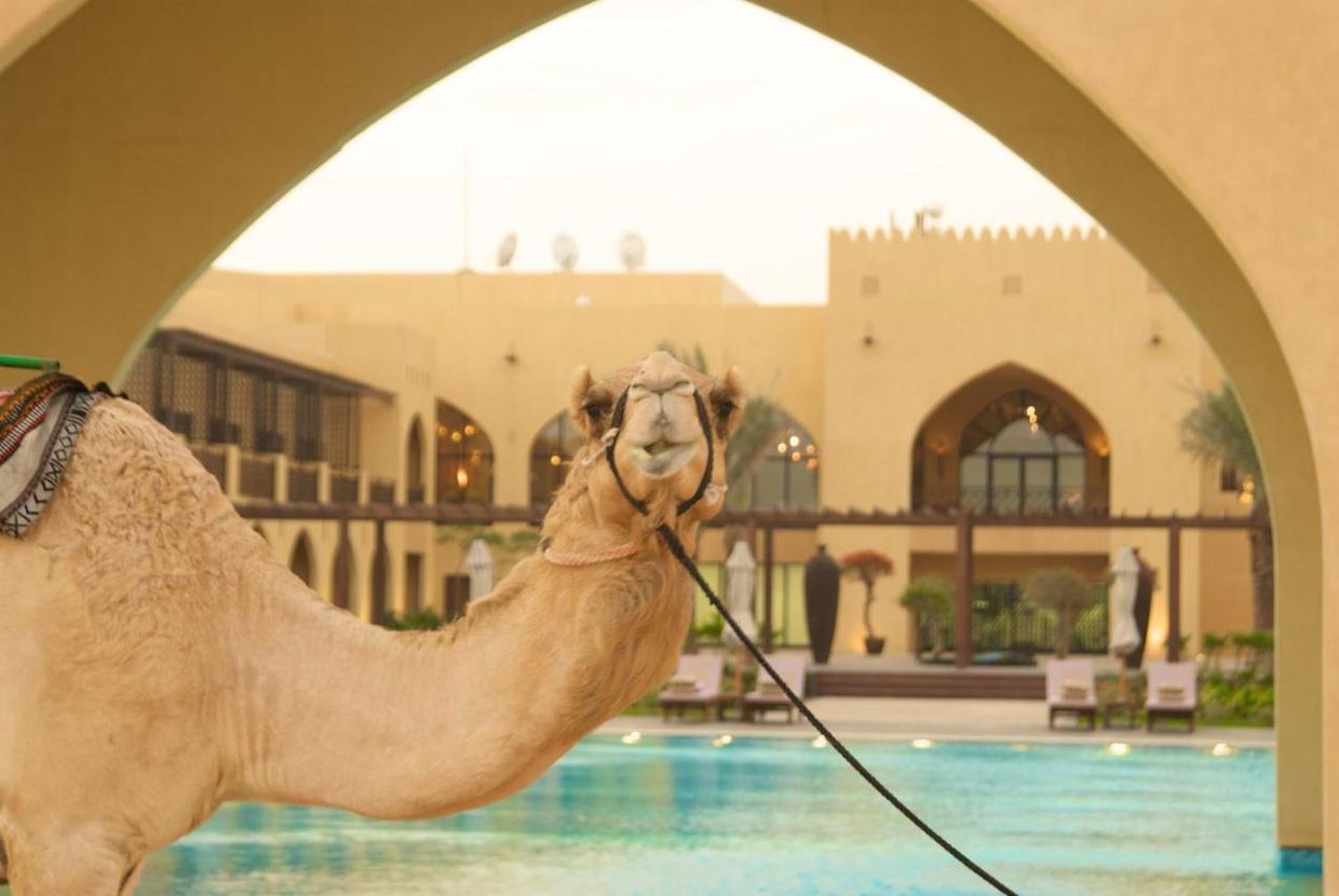 ALDHAFRA RESORT ABU DHABI, VIGNETTE COLLECTION - 11