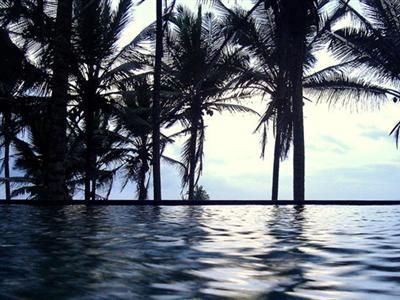 TURTLE BAY - 6